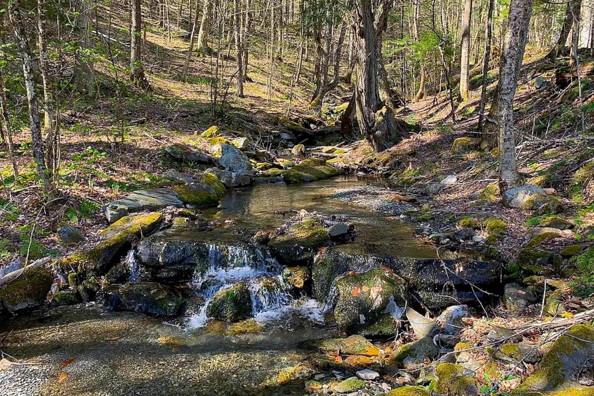 Valkyrie Run Villa Bridgewater Bagian luar foto